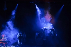 Cinderella_2016 (104 of 242)
