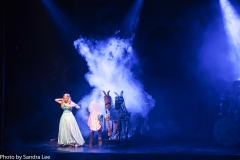 Cinderella_2016 (105 of 242)