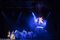 Cinderella_2016 (106 of 242)