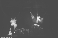 Cinderella_2016 (108 of 242)