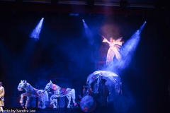Cinderella_2016 (111 of 242)