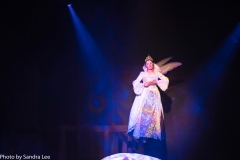 Cinderella_2016 (113 of 242)