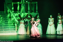 Cinderella_2016 (160 of 242)
