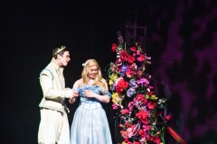 Cinderella_2016 (182 of 242)