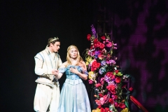 Cinderella_2016 (183 of 242)