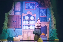 Cinderella_2016 (85 of 242)