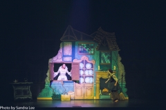 Cinderella_2016 (89 of 242)