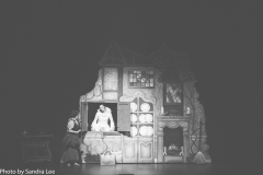 Cinderella_2016 (90 of 242)