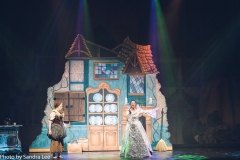 Cinderella_2016 (95 of 242)