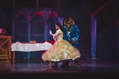 HHTBeautyBeast20140064
