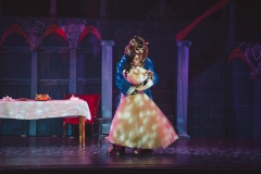 HHTBeautyBeast20140065