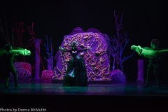 HHM Presents Disneys The Little Mermaid 2018 (108 of 512)