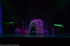 HHM Presents Disneys The Little Mermaid 2018 (111 of 512)