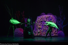 HHM Presents Disneys The Little Mermaid 2018 (113 of 512)