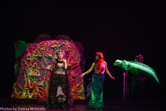HHM Presents Disneys The Little Mermaid 2018 (261 of 512)