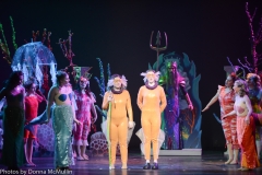 HHM Presents Disneys The Little Mermaid 2018 (49 of 512)