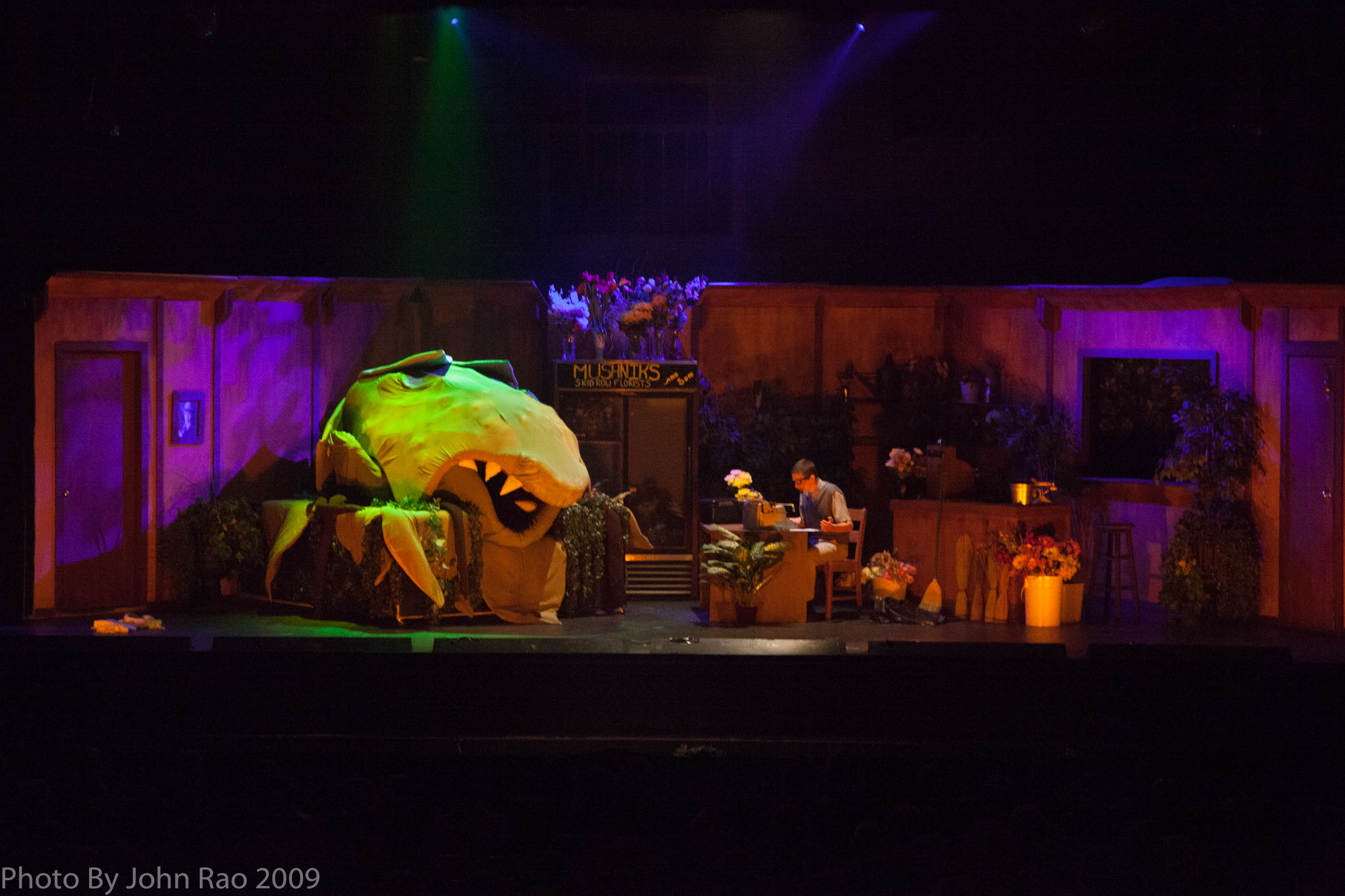 Holy_Heart_Little_Shop_of_Horrors_2009_Rao (110 of 138)