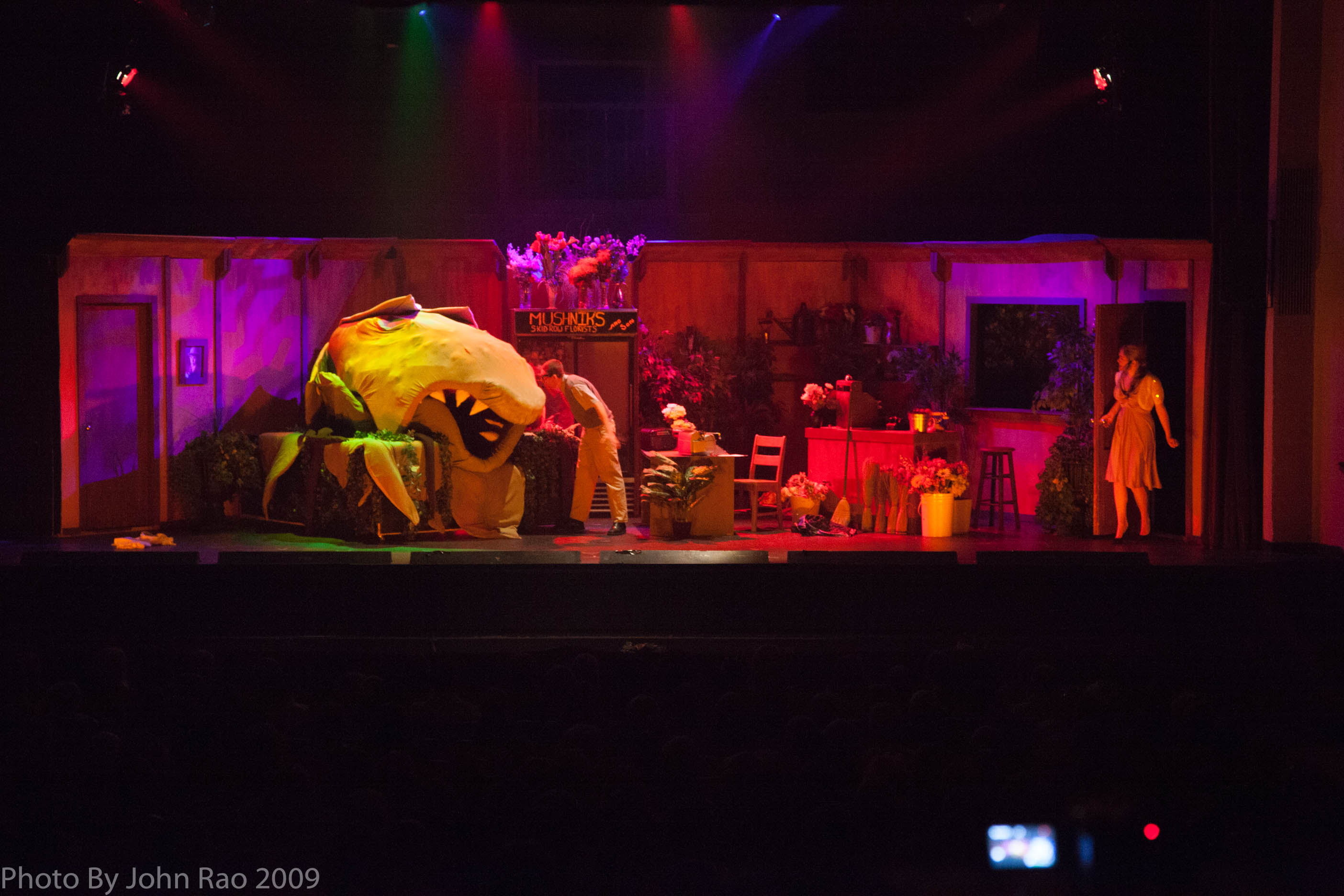 Holy_Heart_Little_Shop_of_Horrors_2009_Rao (112 of 138)
