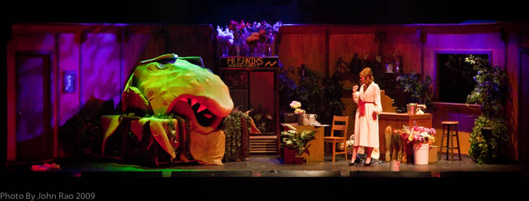 Holy_Heart_Little_Shop_of_Horrors_2009_Rao (117 of 138)