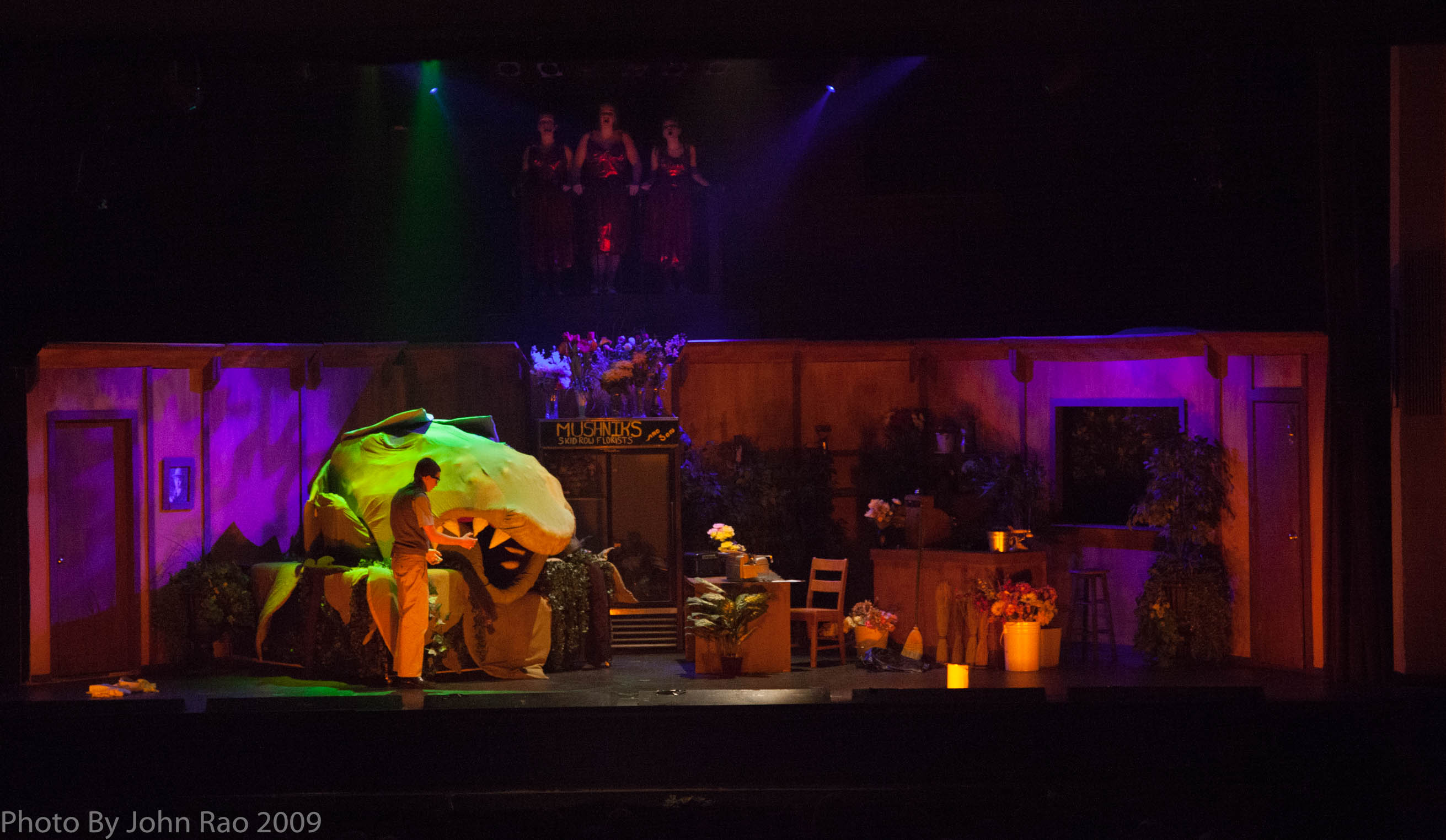 Holy_Heart_Little_Shop_of_Horrors_2009_Rao (125 of 138)