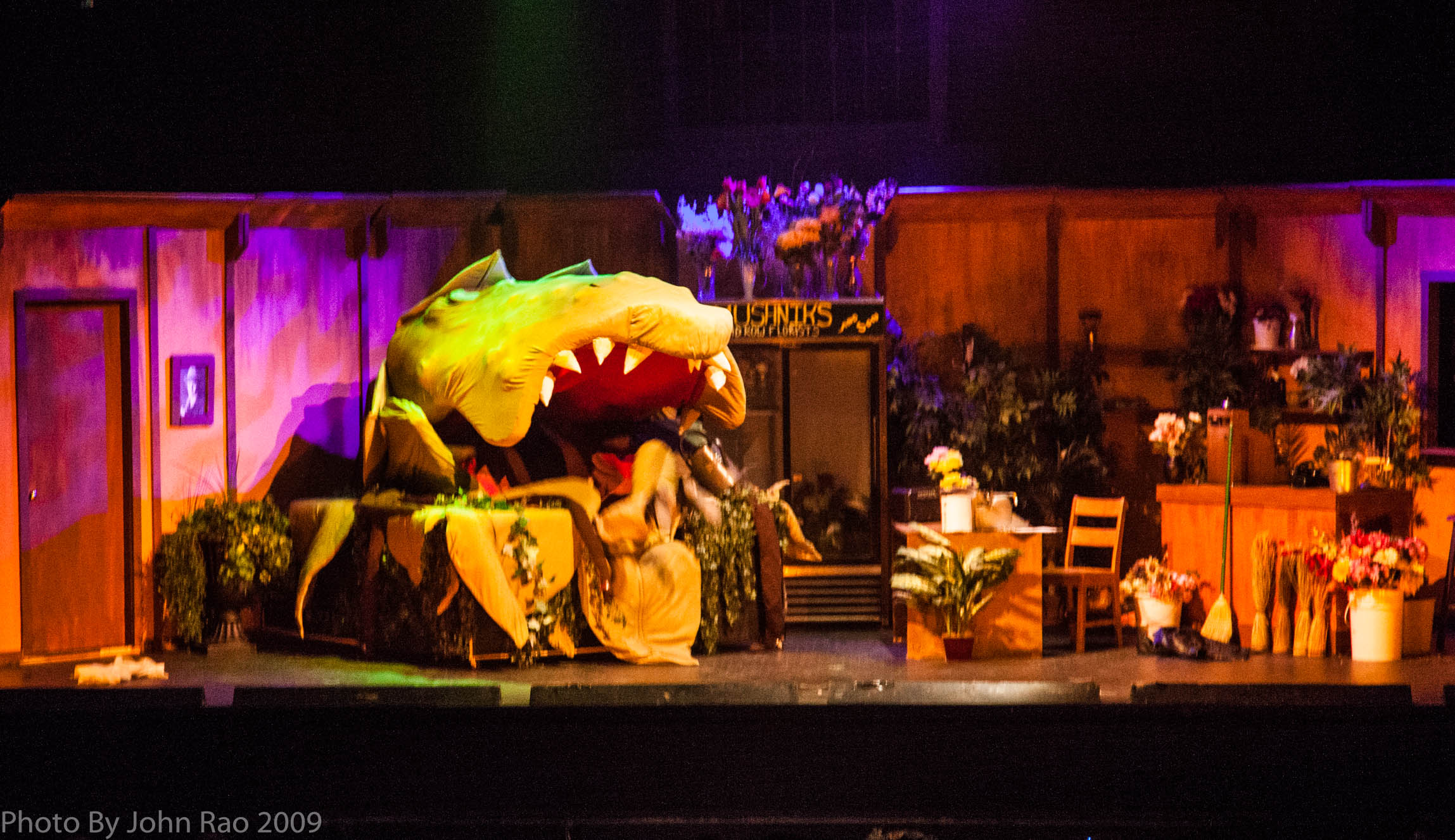 Holy_Heart_Little_Shop_of_Horrors_2009_Rao (131 of 138)