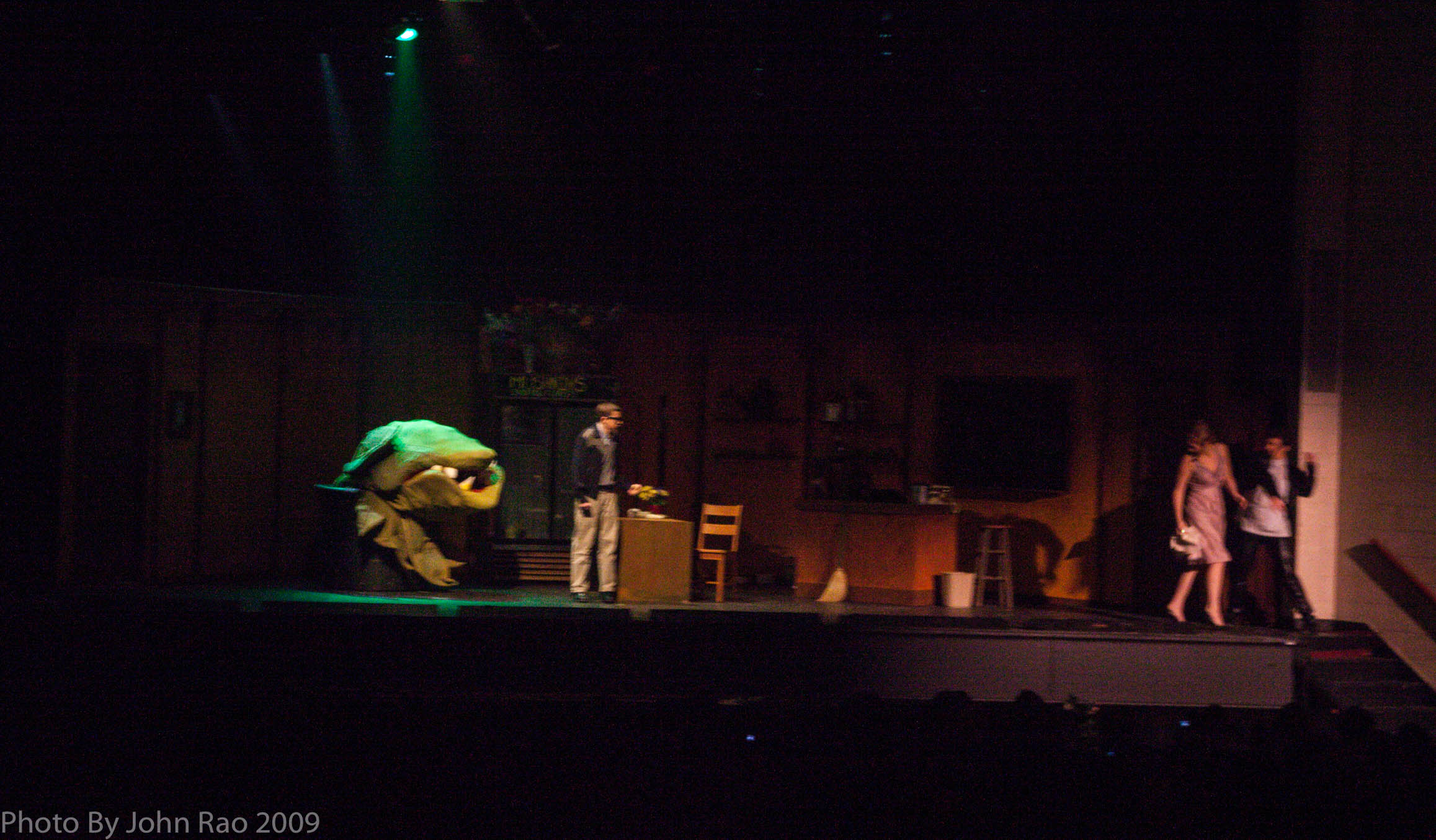 Holy_Heart_Little_Shop_of_Horrors_2009_Rao (61 of 138)