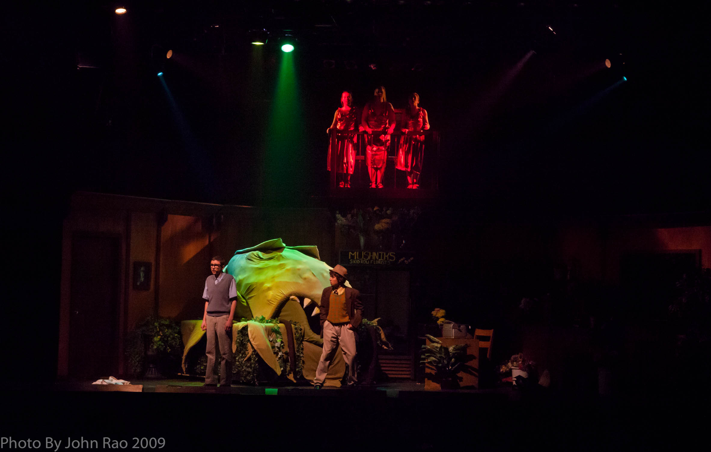 Holy_Heart_Little_Shop_of_Horrors_2009_Rao (96 of 138)