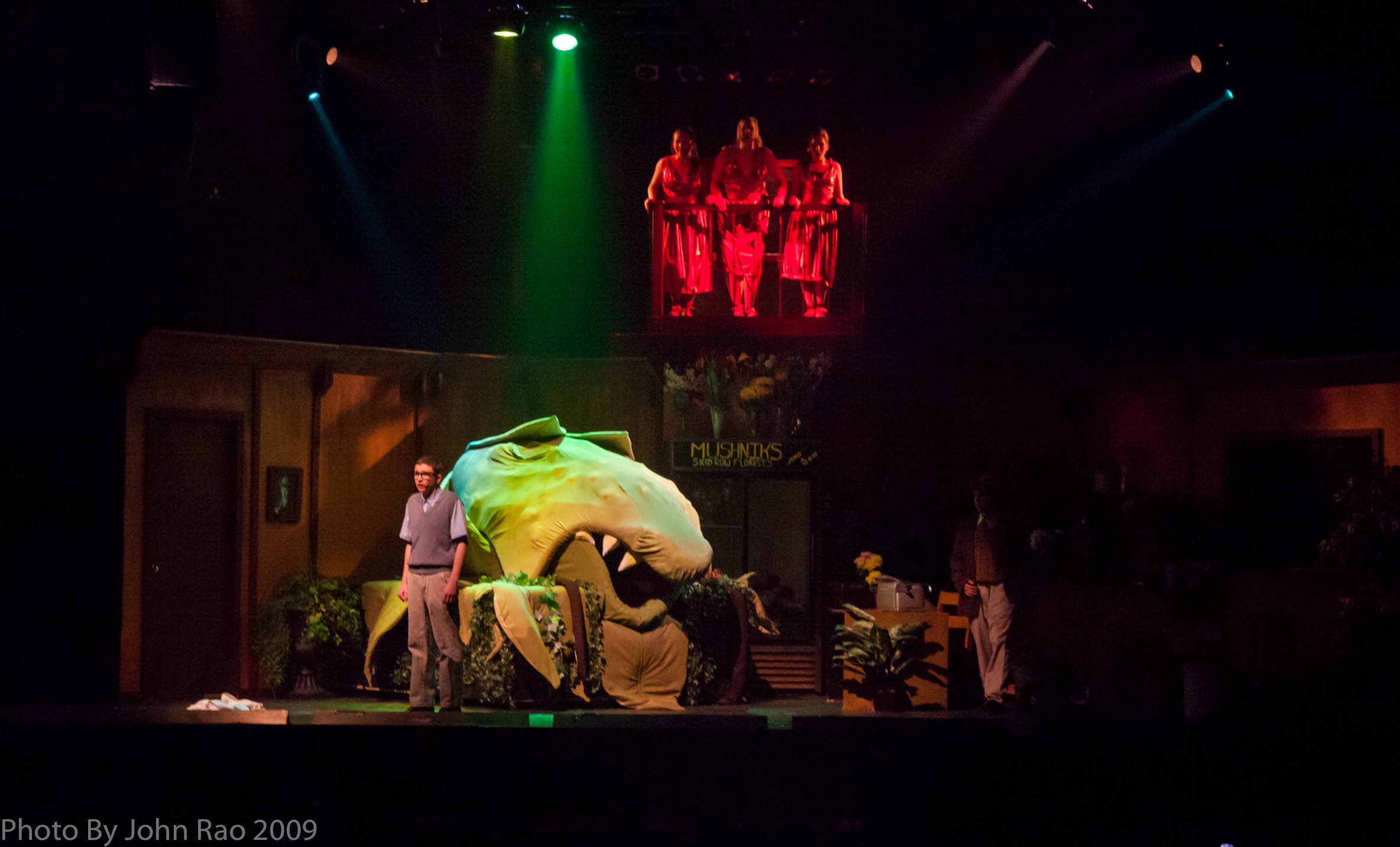 Holy_Heart_Little_Shop_of_Horrors_2009_Rao (97 of 138)