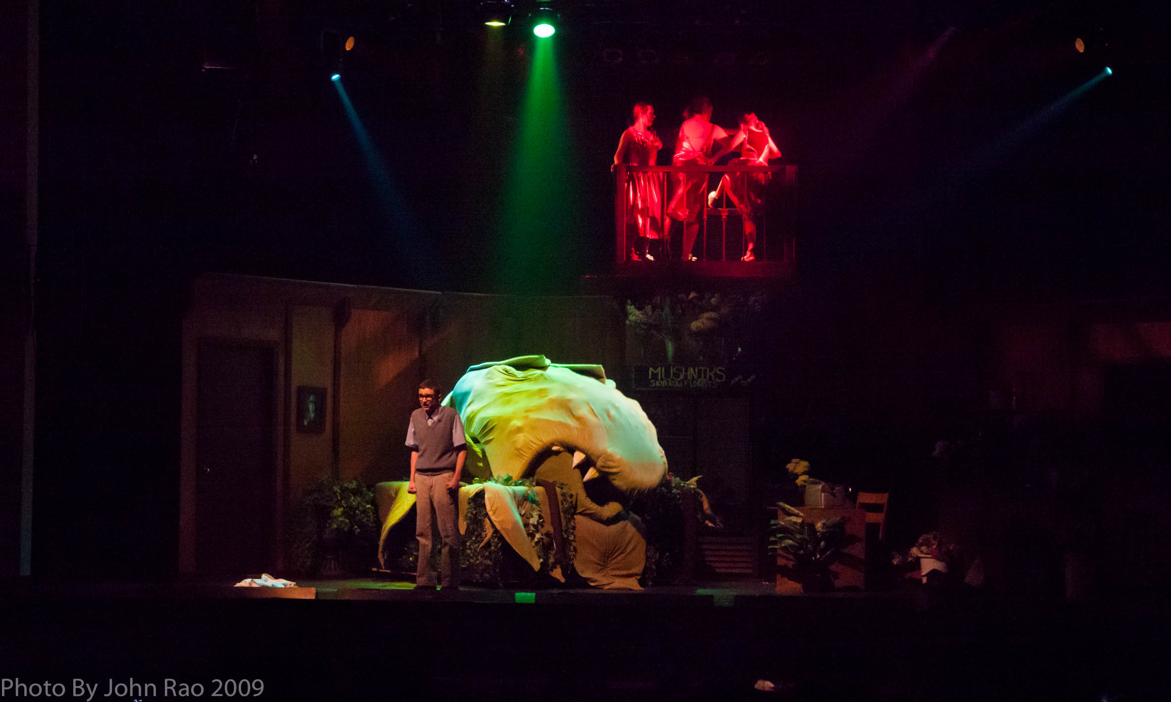 Holy_Heart_Little_Shop_of_Horrors_2009_Rao (99 of 138)