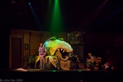 Holy_Heart_Little_Shop_of_Horrors_2009_Rao (101 of 138)