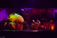 Holy_Heart_Little_Shop_of_Horrors_2009_Rao (108 of 138)