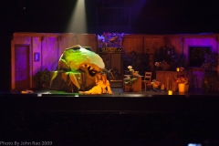 Holy_Heart_Little_Shop_of_Horrors_2009_Rao (124 of 138)