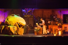 Holy_Heart_Little_Shop_of_Horrors_2009_Rao (128 of 138)
