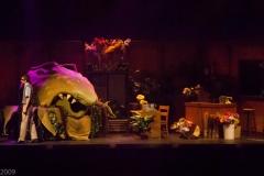 Holy_Heart_Little_Shop_of_Horrors_2009_Rao (84 of 138)