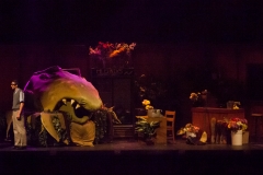 Holy_Heart_Little_Shop_of_Horrors_2009_Rao (85 of 138)