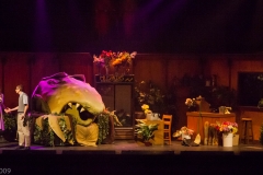 Holy_Heart_Little_Shop_of_Horrors_2009_Rao (87 of 138)
