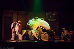 Holy_Heart_Little_Shop_of_Horrors_2009_Rao (95 of 138)