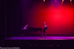 NYNY_2_2016 (19 of 114)
